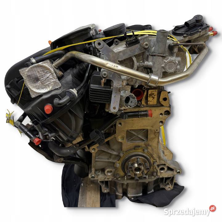 SILNIK VW Golf V Passat B6 Jetta III Touran Eos osobowe Chełm