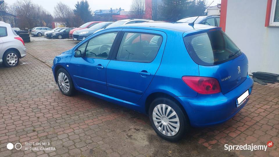 Peugeot 307 20 benzyna 2002r skóry klima zamiana wielofunkcyjna kierownica Rzeszów sprzedam