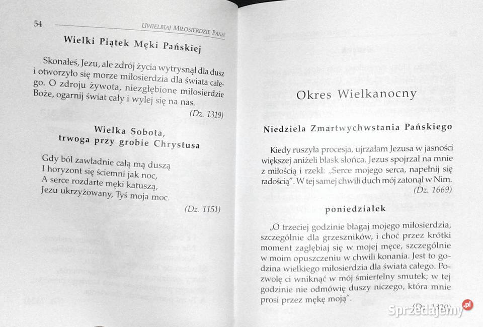 Uwielbiaj miłosierdzie Pana ks Jan Oleszko SAC Chełm sprzedam