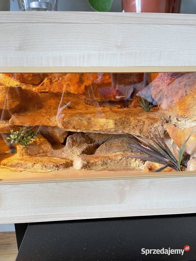Drewniane terrarium wężajaszczurki Łobzów