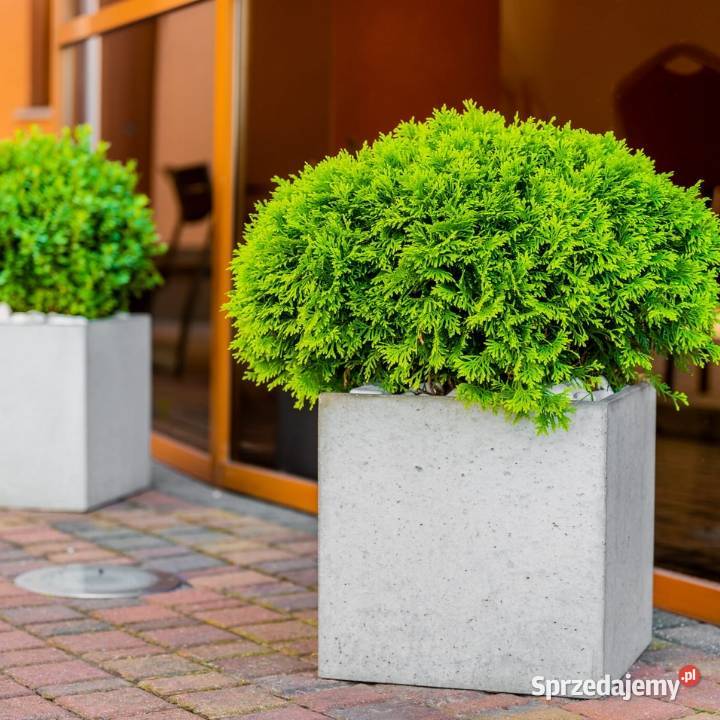 DONICA Betonowa 75x75x75 Na Kwiaty małopolskie