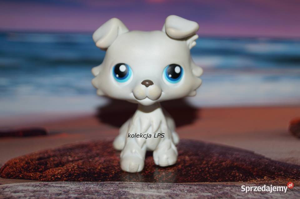 LPS collie 363 UNIKAT oryginalny Littlest Pet Shop magnes Rybnik