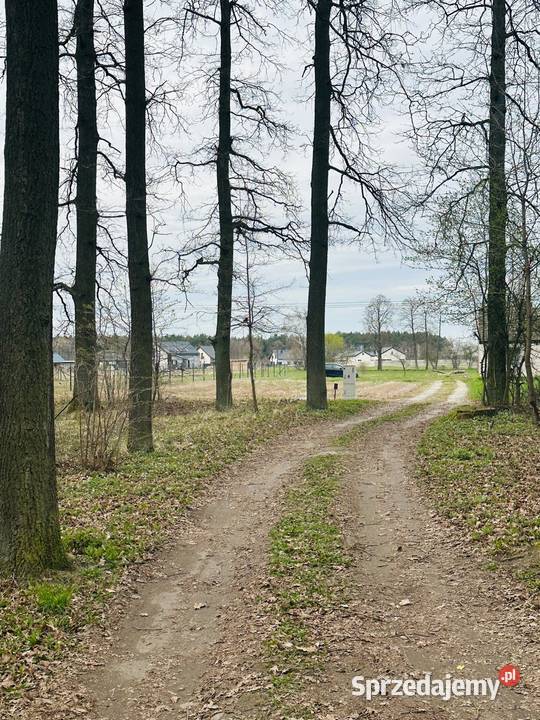 Działka z potencjałem zabudowy Czerniejewo 1193