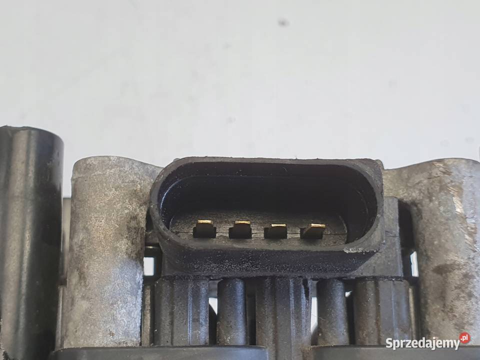 CEWKA ZAPŁONOWA Audi A3 II 8P 16 8V 0221603010 Rudka