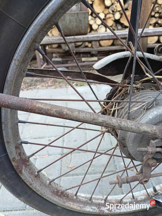 Komar Romet sztywniak opolskie