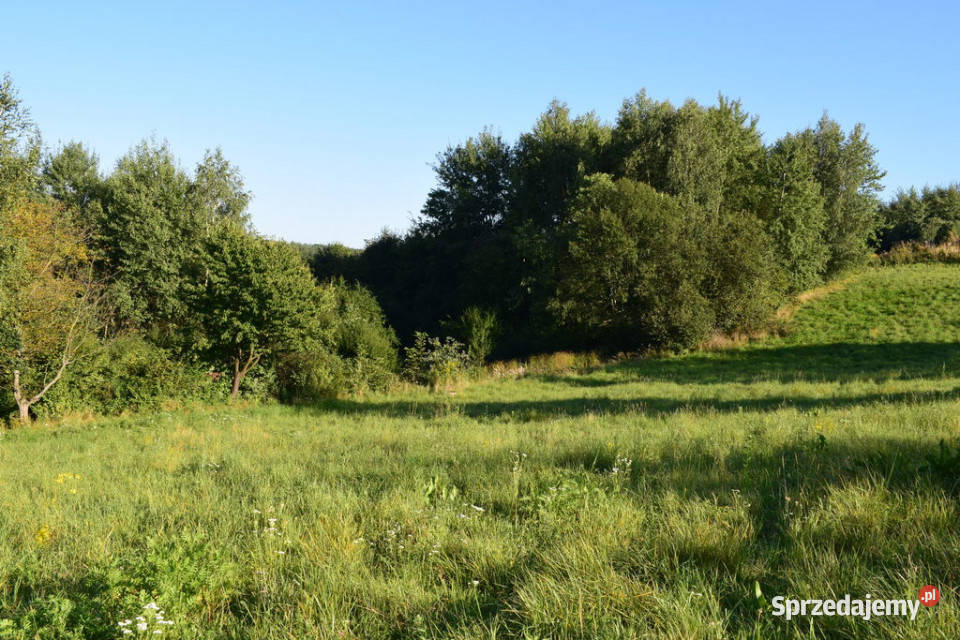 Działki budowlane 10a do 47a w Tyczynie Tyczyn