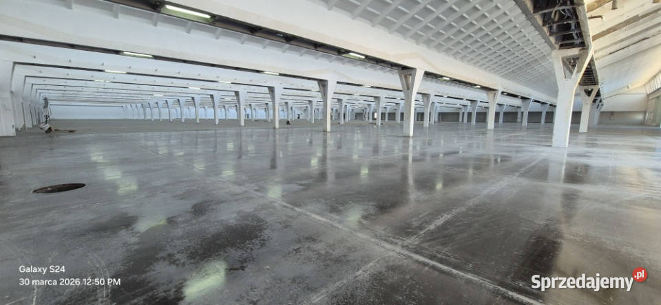 Hala magazynowa 12500m2 Ozorków