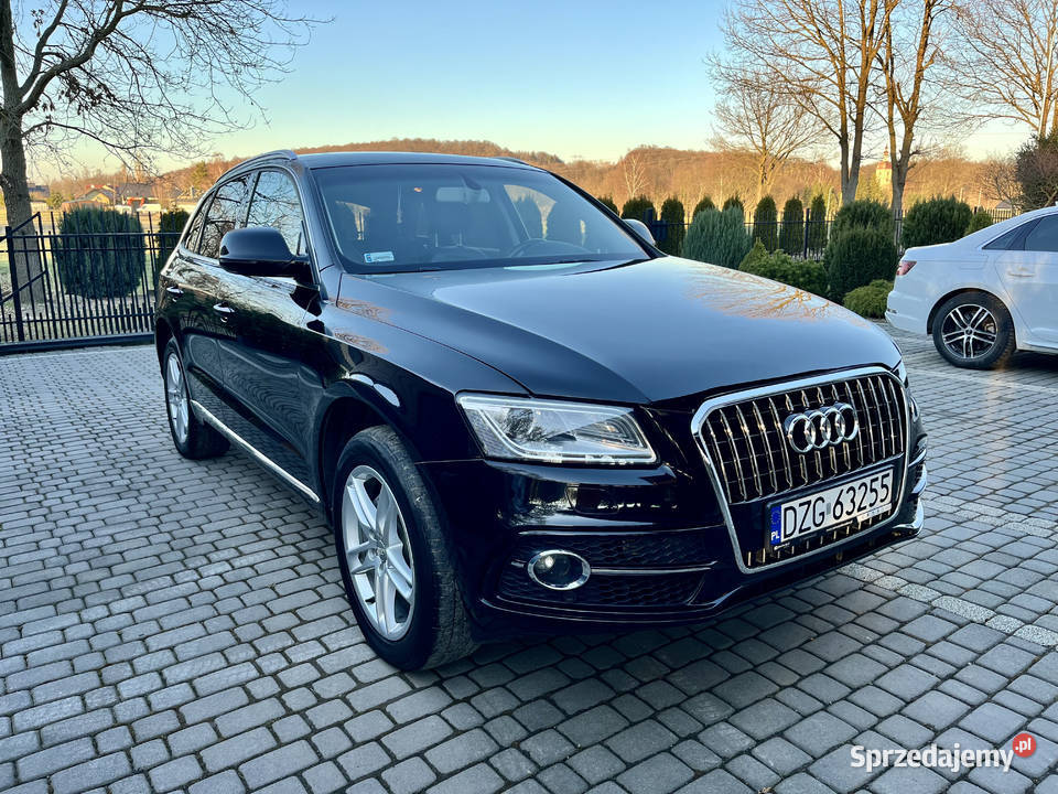 Audi Q5 20 TFSI Zgorzelec