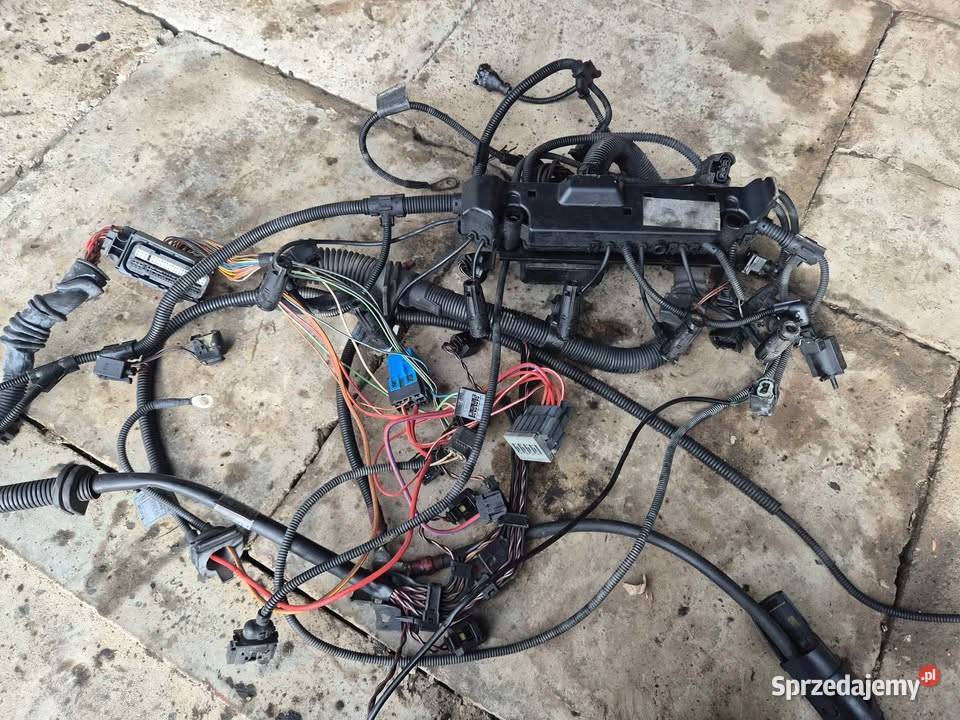Wiązka instalacja elektryczna BMW E46 330D 204 Stubno