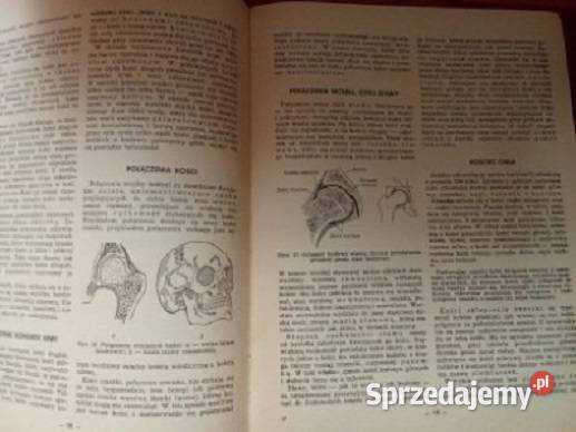 Lekarski poradnik domowy medycyna interna