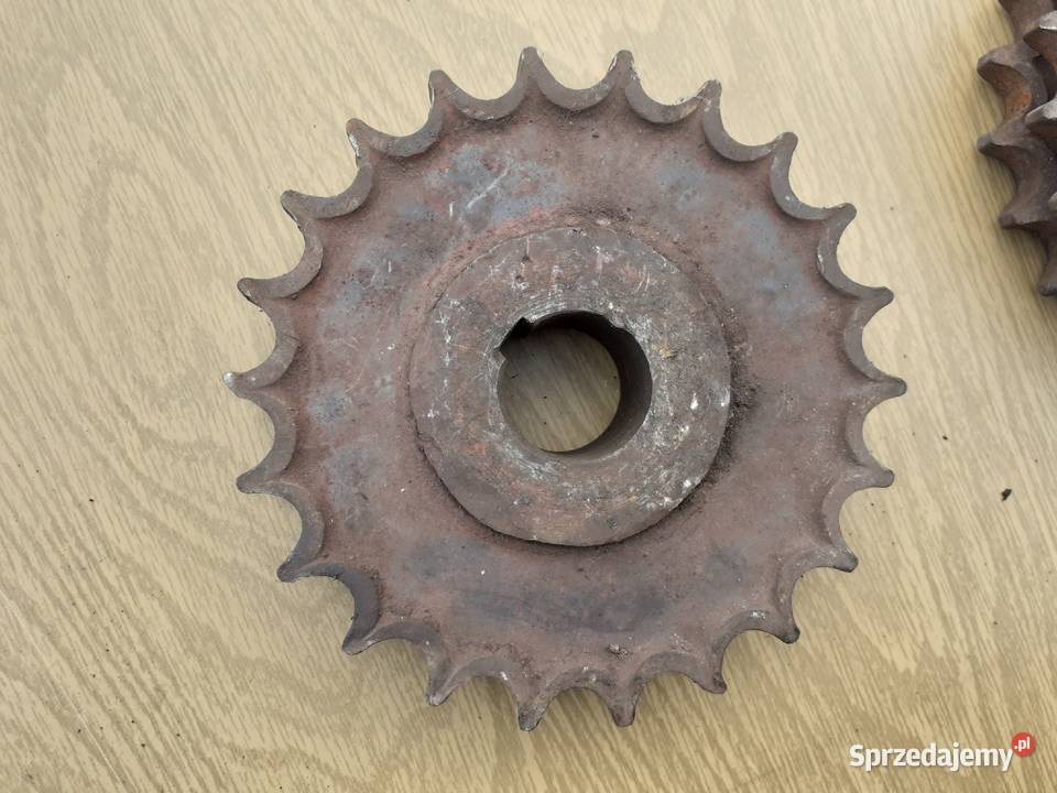 Koło łańcuchowe podwójne 22z prt10 100229001 podlaskie Moczydły