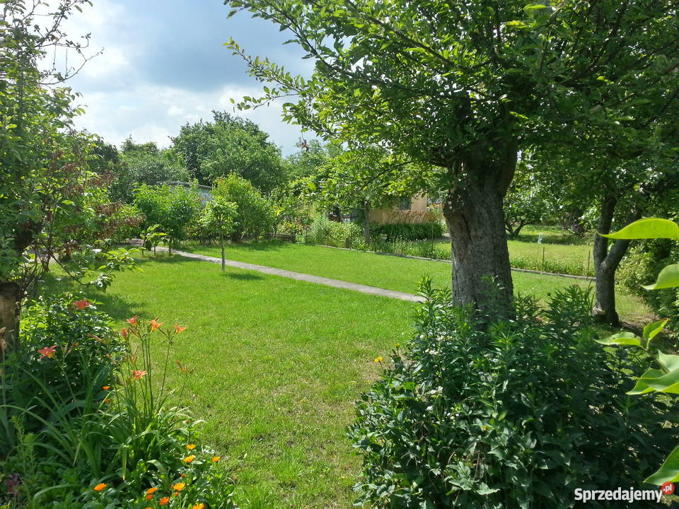 Działka rekreacyjna ogródek działkowy Wrocław Grunty i działki Wrocław sprzedam