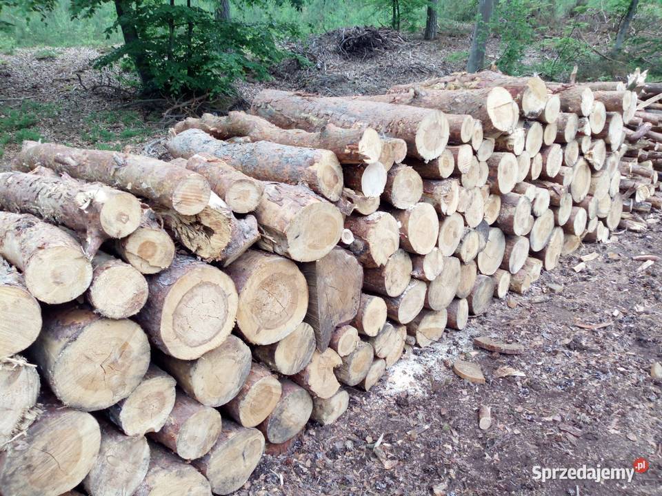 Drewno opałowe SOSNA Junoszyno sprzedam
