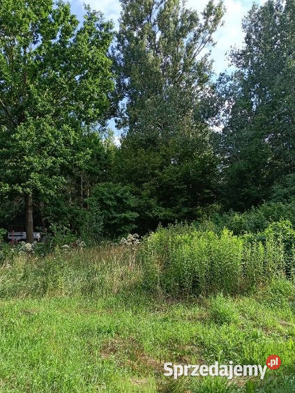 Działka budowlana na Podlasiu w Redutach 74zł/m2 Sprzedaż Reduty