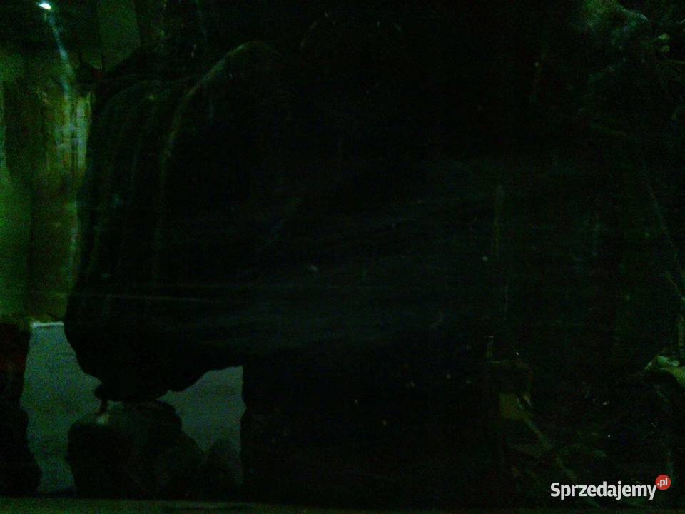 JEEP AVENGER 24r drzwi prawe przód Kielce