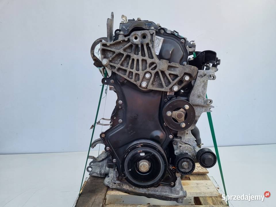 SILNIK REGENERACJI Renault Scenic II 20 DCI Rudka