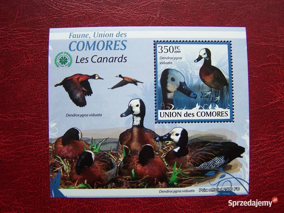 Komory 2009 MNH Fauna Ptaki Kaczki śląskie Tychy sprzedam