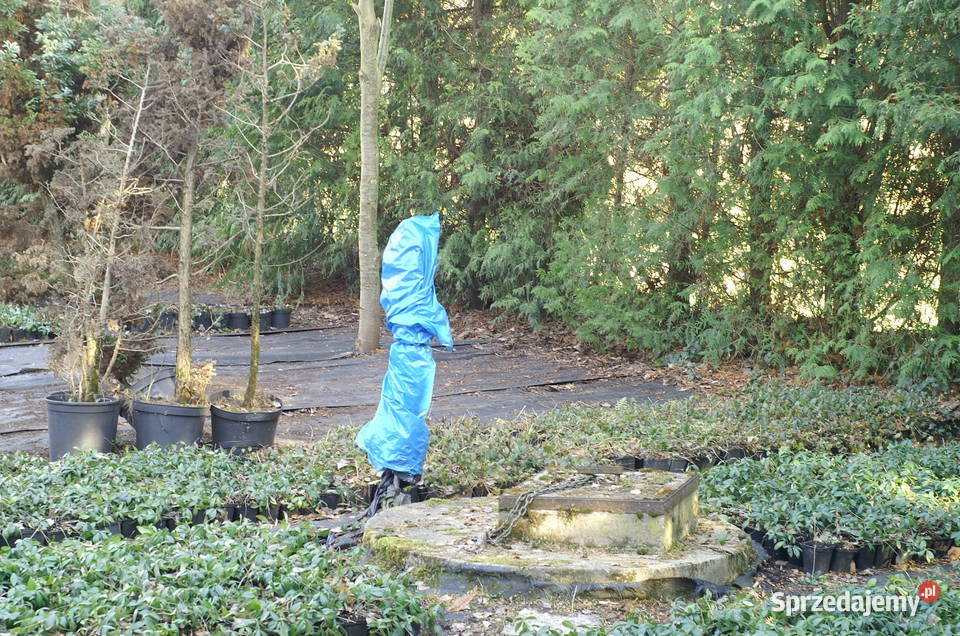 Działka budowlana 36a lubelskie Jawidz