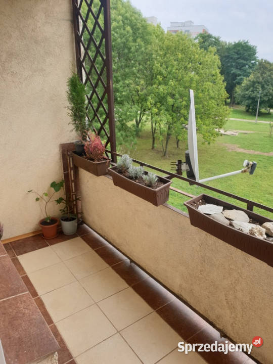 Przytulne mieszkanie w lokalizacji Zagórze śląskie Sosnowiec