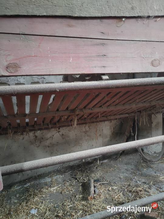 Sortownik do ziemniaków na korbę Gosławice