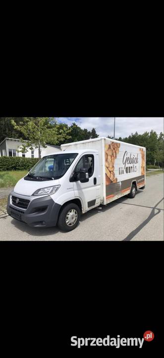 Ducato alko kamper zabudowa kontener izoterma