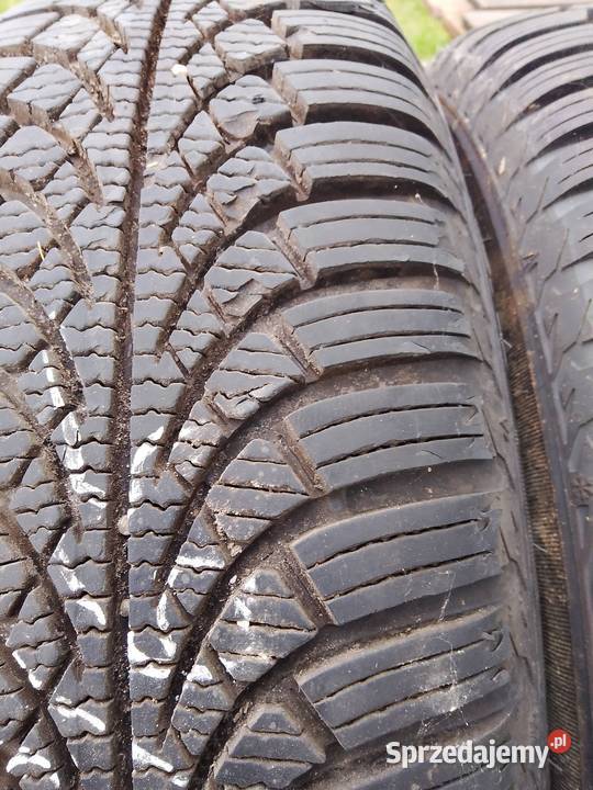 Opony zimowe 1856515diplomat winter świętokrzyskie