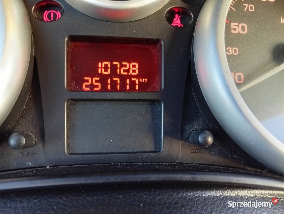 Peugeot 207 wielkopolskie Przedecz