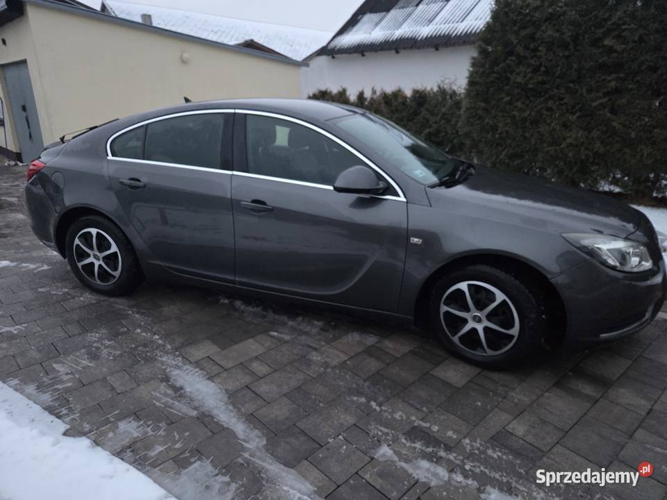 Insignia 130 ecofex bezwypadkowy okazja