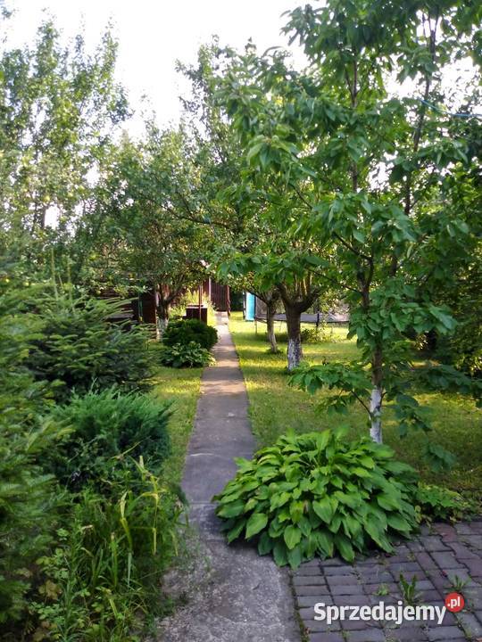 Sprzedam ogród działkowy ROD Ruda Śląska