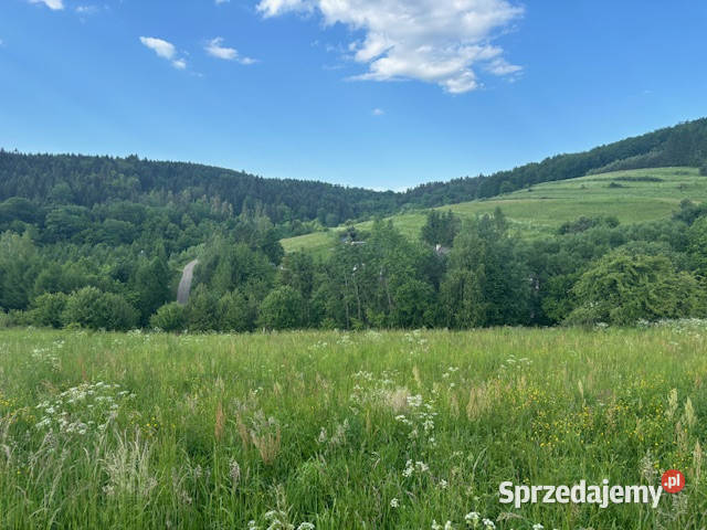 Działka budowlana Baligród na sprzedaż 33m