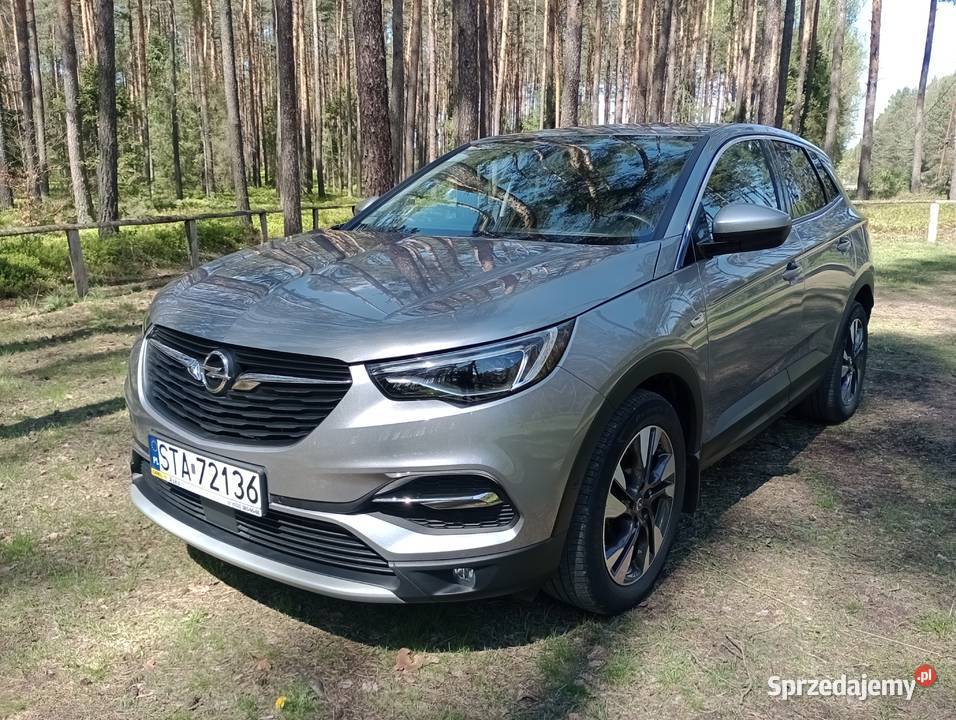Opel Grandland X pierwszy właściciel mały Tarnowskie Góry