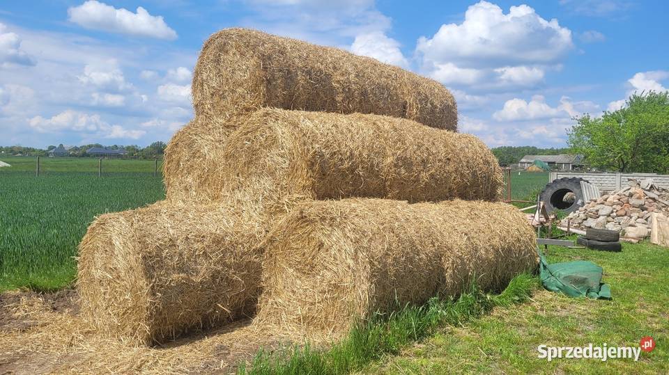 Sprzedam słomę sezon 2025