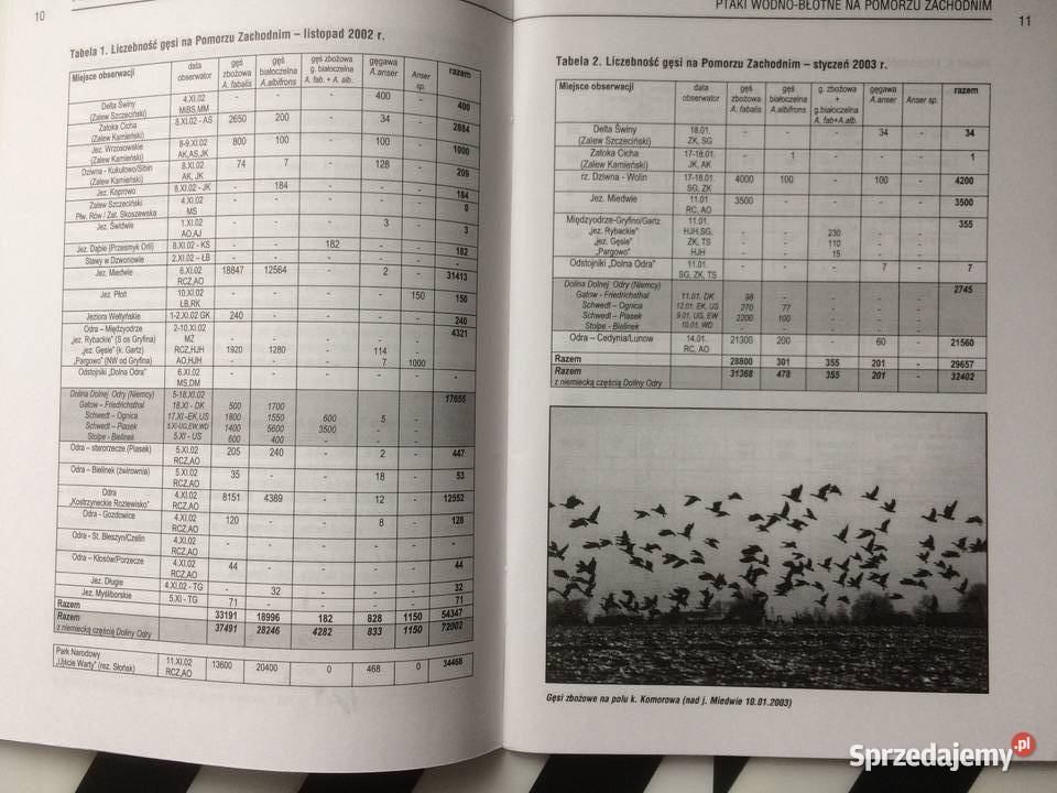 3683 Ptaki WodnoBłotne Na Pomorzu Zachodnim