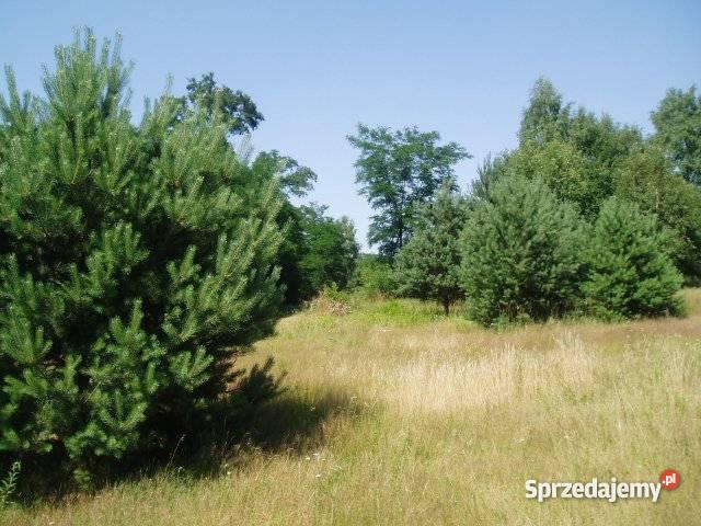 Łódź Okólna działki 800 do 3000 m2 os Dolina Łód budowlana Łódź sprzedam