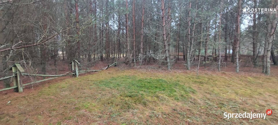 Grunt sprzedam 705m2 Wdzydze pomorskie