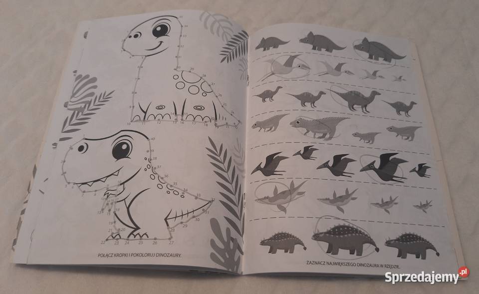 Activity Book ćwiczeń zadań łamigłówki dinozaury Czeladź sprzedam
