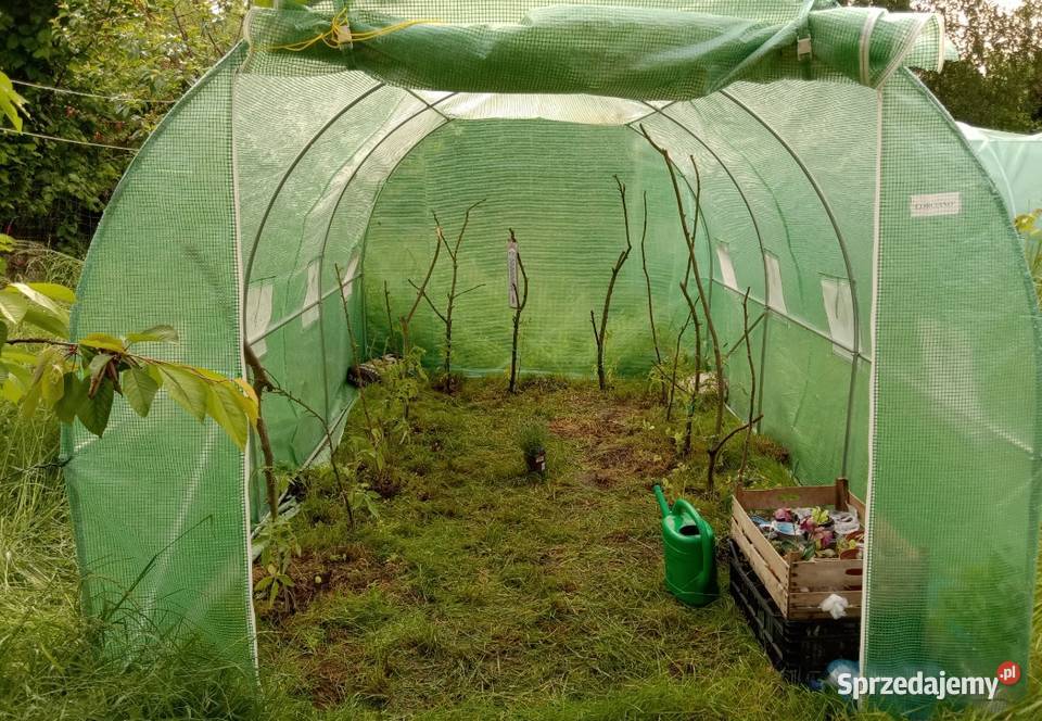 Działka ROD Szczecin Ogród zachodniopomorskie