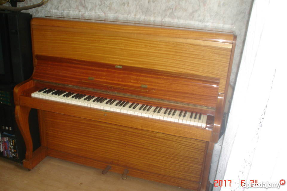 pianino Calisia Instrumenty klawiszowe i MIDI Szczecin