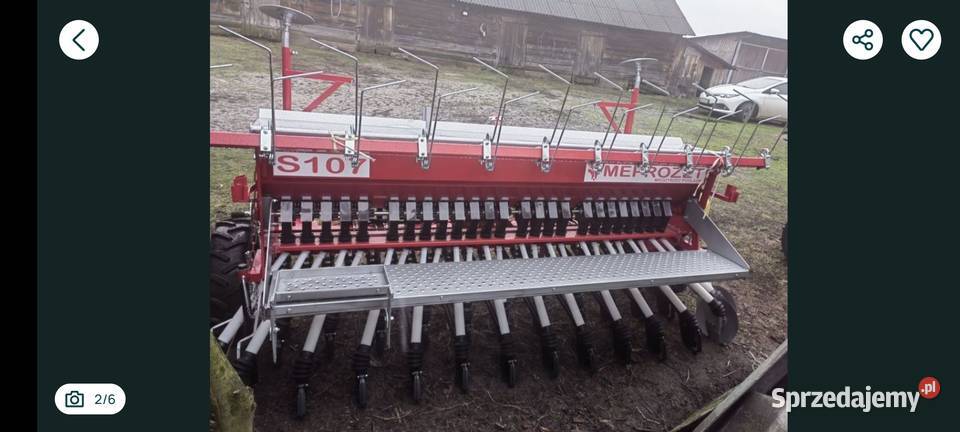 Siewnik Meprozey Bokinka Pańska