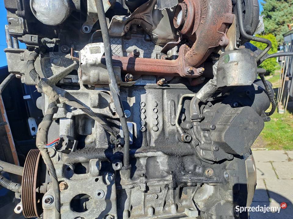 Ford Fokus 2010r 16 TDCi silnik kompletny kod Jastrzębie-Zdrój