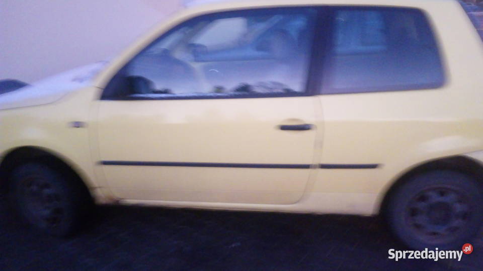 WW LUPO 10 żółty małopolskie