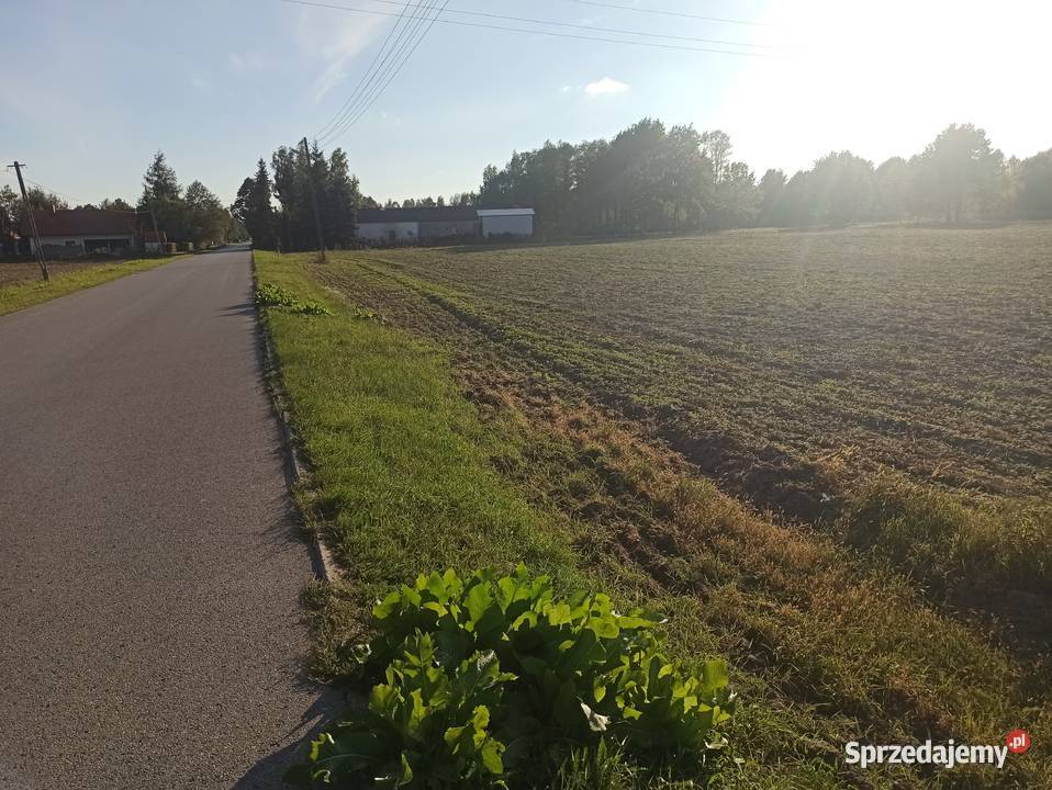Sprzedam działki budowlane każda 1500m2 we wsi Grochowa