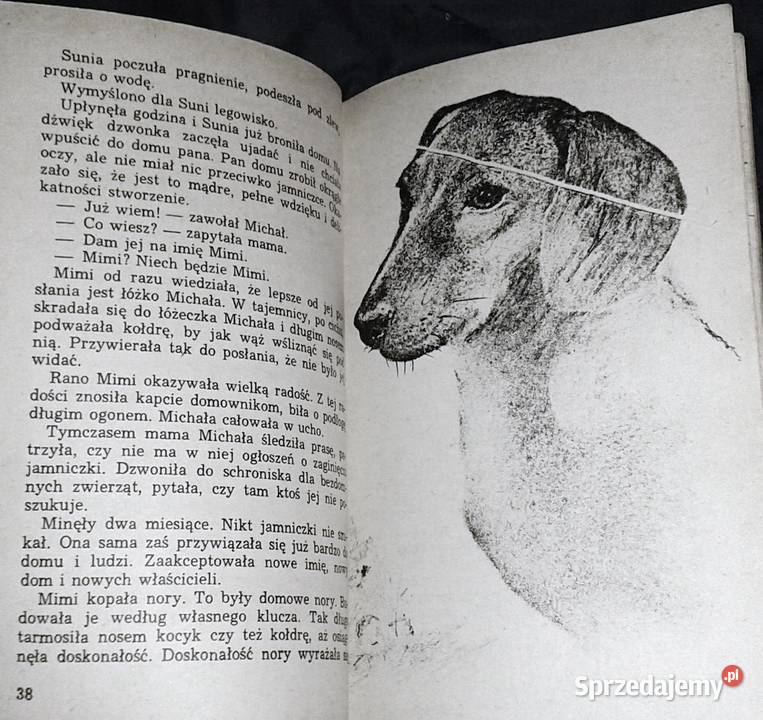 Włóczęga i inne opowiadania Maria Terlecka Pozostałe Chełm