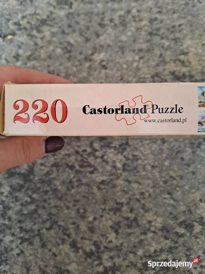 Puzzle Alladyn Puzzle dolnośląskie Wrocław