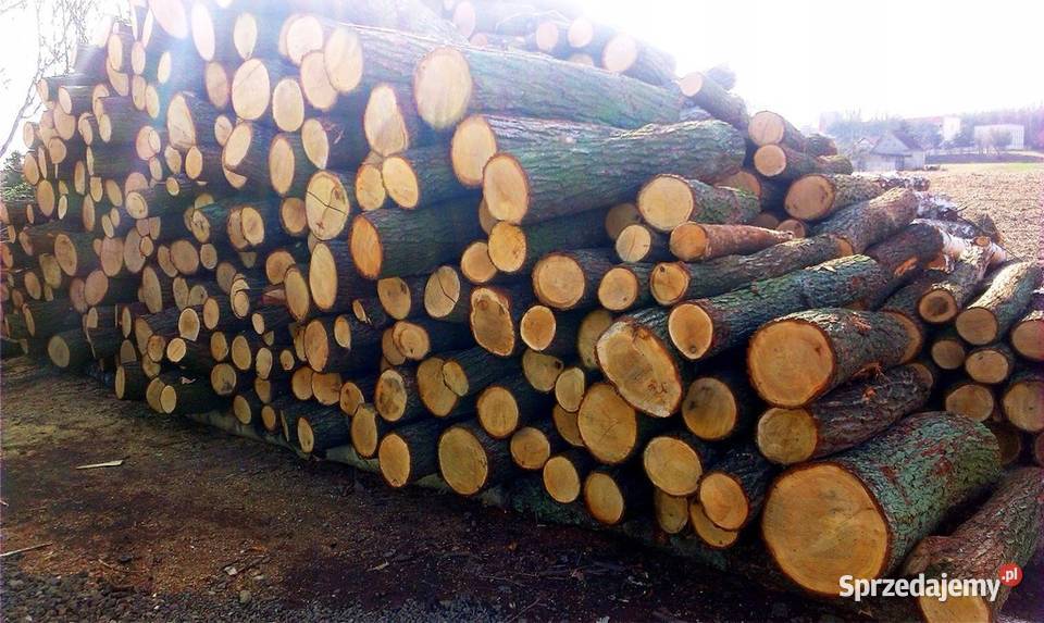 drzewo opałowe Sosnatopoladąbbrzoza z Gidle sprzedam