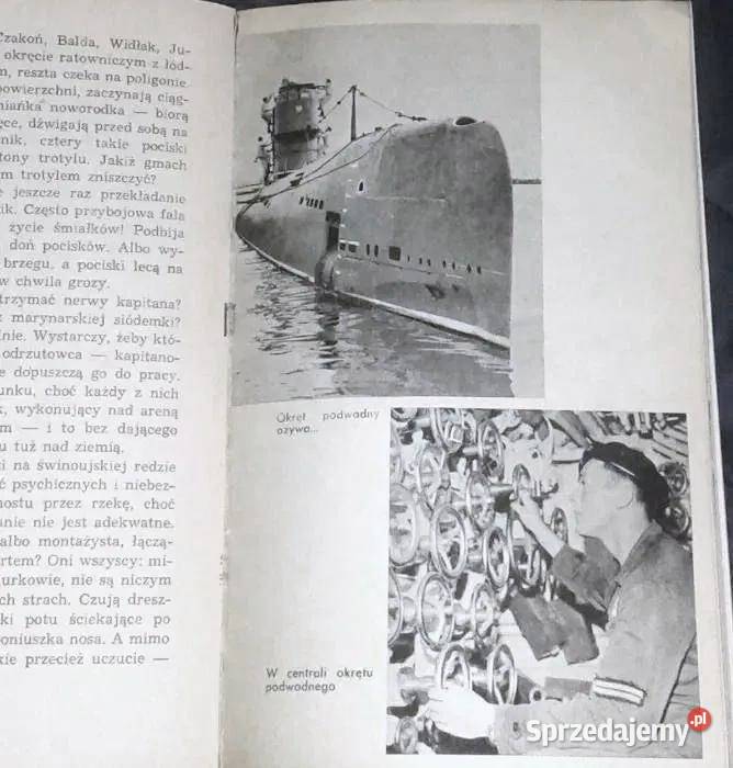 Wierni banderze Stanisław Woliński