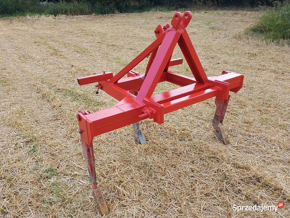 Głębosz 3 zęby Stryjno Pierwsze