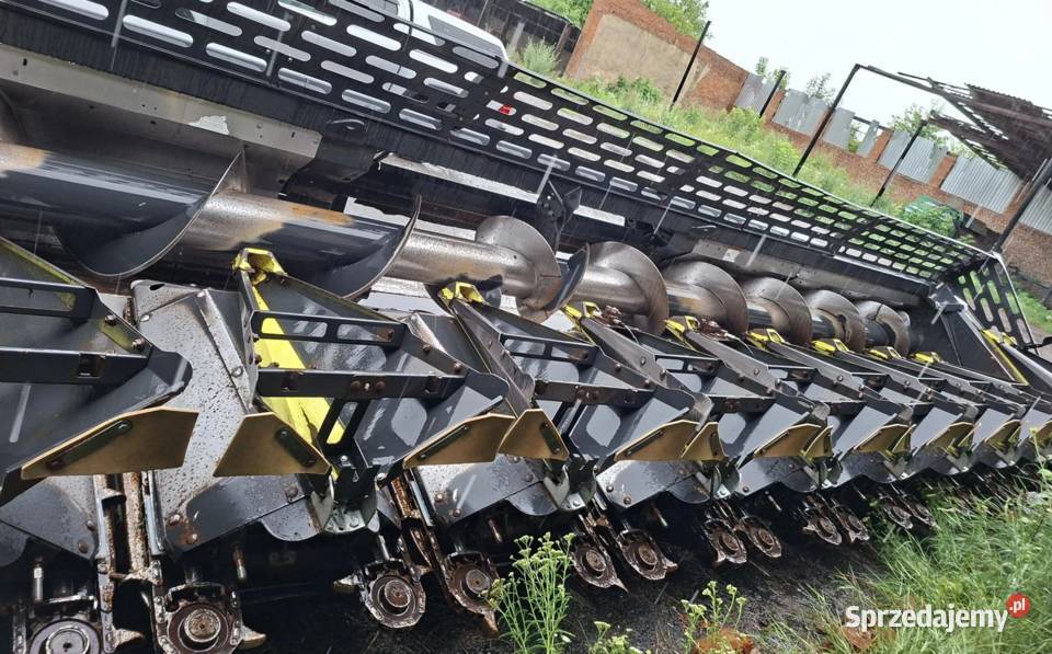 Olimac Drago GT lubuskie Kołczyn