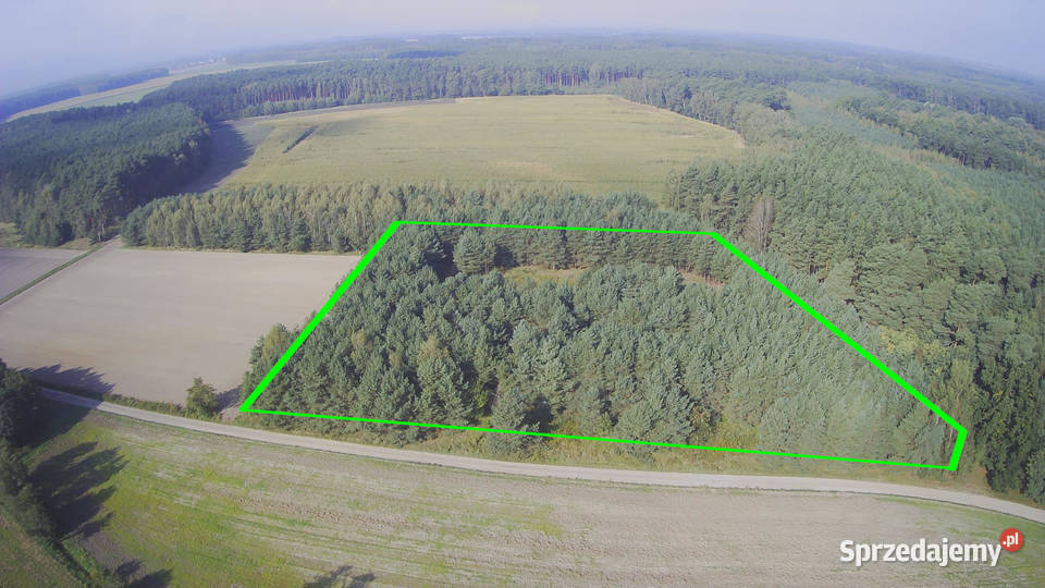 Działka z prywatnym lasem Wydane WZ i pozwolenie 11508m2