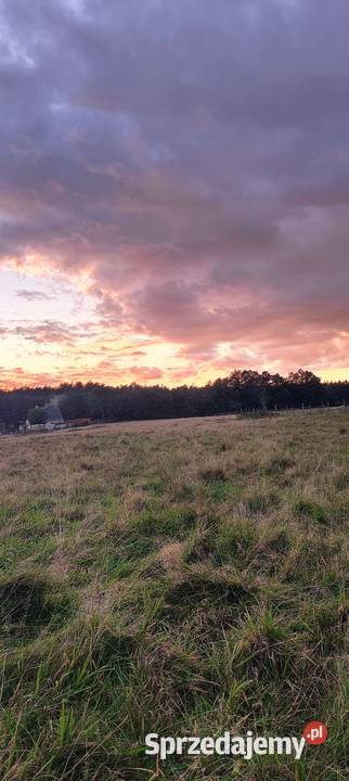 Działki na sprzedaż 50 m2 Nowogard Czermnica zachodniopomorskie sprzedam